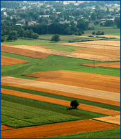 Commercial Real Estate